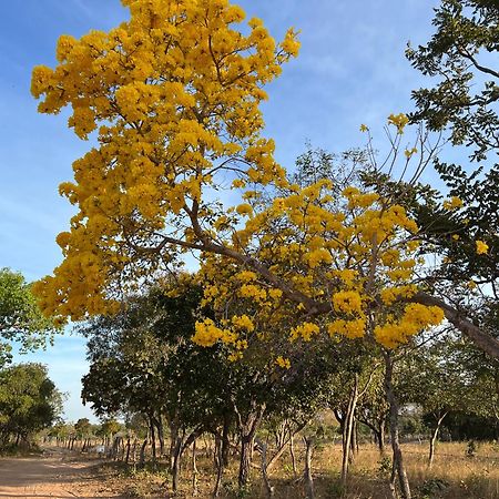 Fervedouro E Pousada Por Enquanto Sao Felix do Tocantins Bagian luar foto